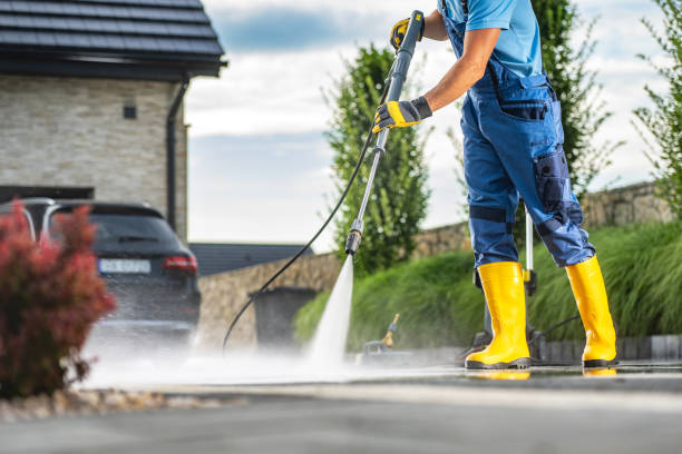 Best Roof Power Washing Services  in Boyce, LA